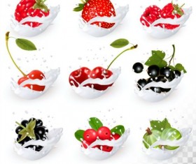 Fruit and splash milk vector illustration 03