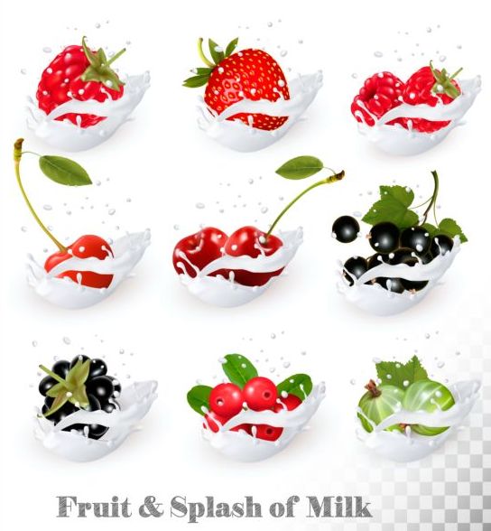 Fruit and splash milk vector illustration 03