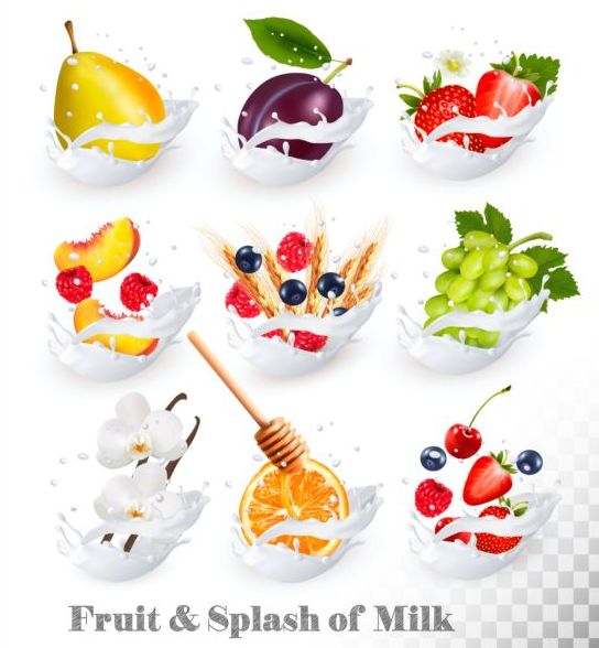 Fruit and splash milk vector illustration 05