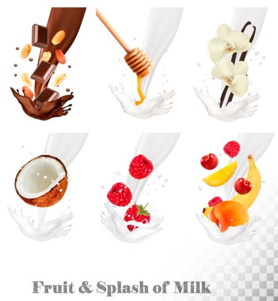 Fruit and splash milk vector illustration 07