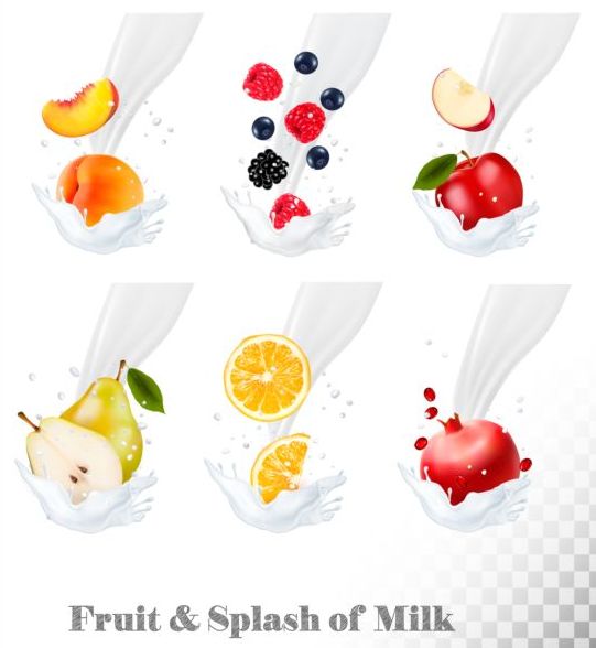 Fruit and splash milk vector illustration 09