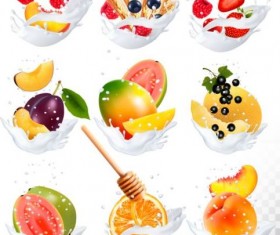 Fruit and splash milk vector illustration 10