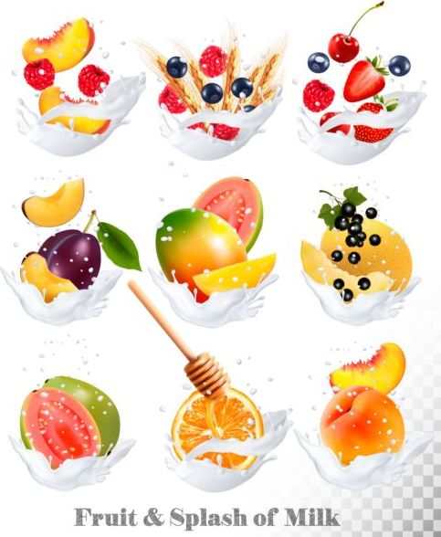 Fruit and splash milk vector illustration 10