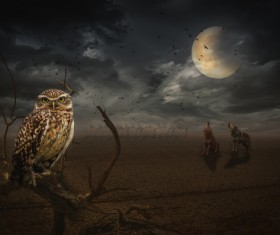 Full moon under the animal Stock Photo