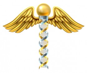 Golden wings and canes vector