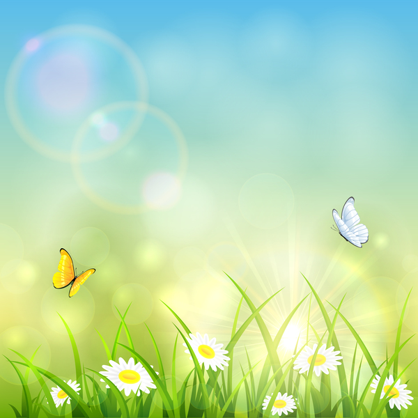 Grass and shinning sun vector background