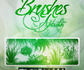 Grass with plant photoshop brushes