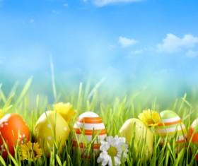 Green grass Easter eggs HD picture