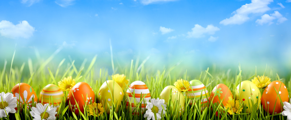 Green grass Easter eggs HD picture