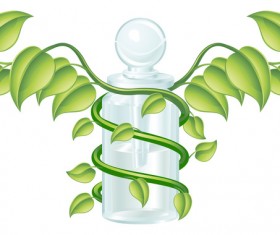 Green leaf and glass container vector