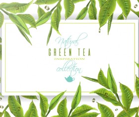 Green tea frame vector material