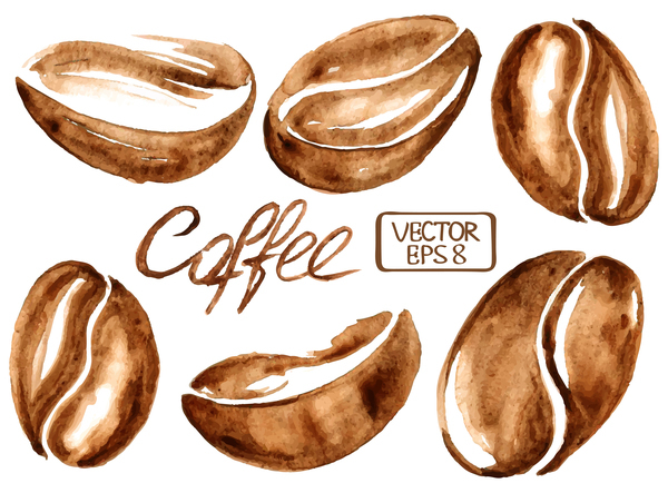 Hand drawn watercolor coffee beans vector