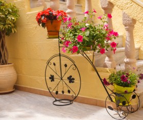 Interior decoration flowers HD picture