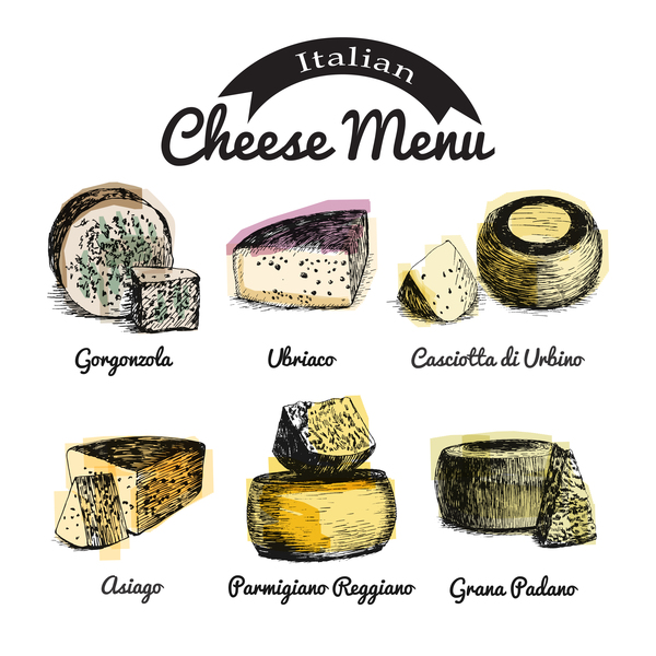 Italian cheese menu vector 01
