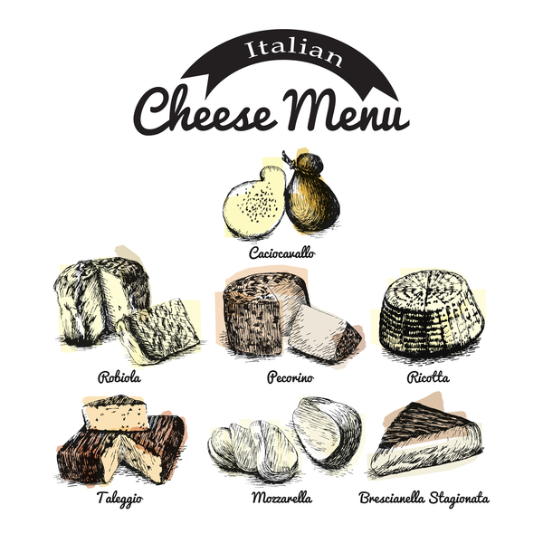 Italian cheese menu vector 02