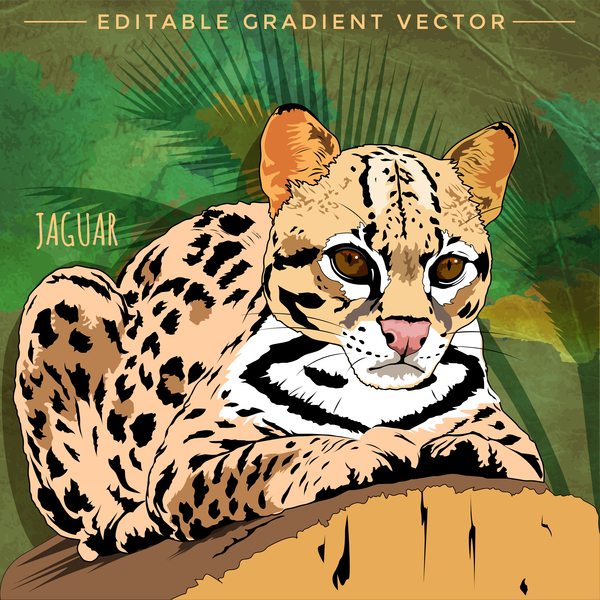 Jaguar hand drawn vector