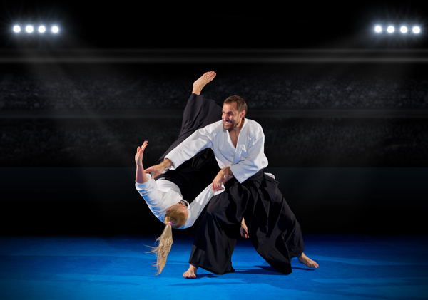 Judo game HD picture 01
