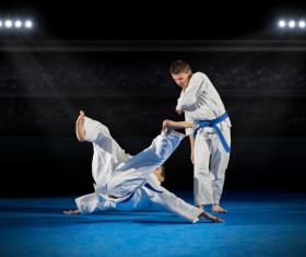 Judo game HD picture 02