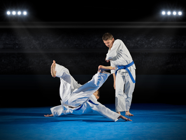 Judo game HD picture 02 free download