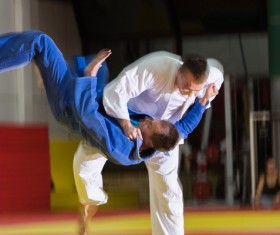 Judo game HD picture 03