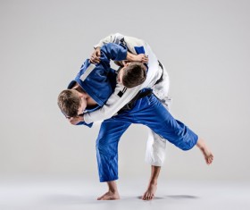 Judo game HD picture 04