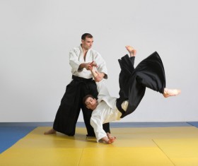 Judo game HD picture 05