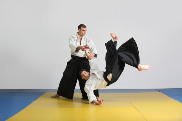 Judo game HD picture 05
