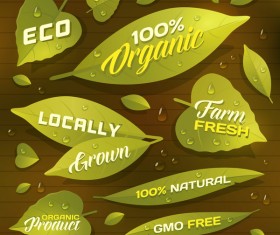 Leaves with ECO labels vector