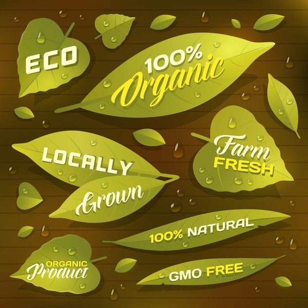 Leaves with ECO labels vector