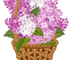 Lilac basket illustration vector