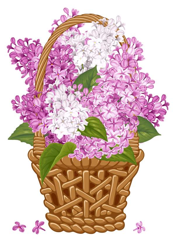 Lilac basket illustration vector