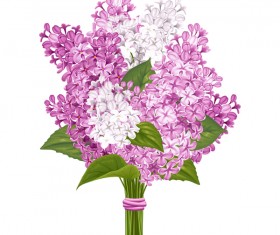Lilac beautiful illustration vector 02
