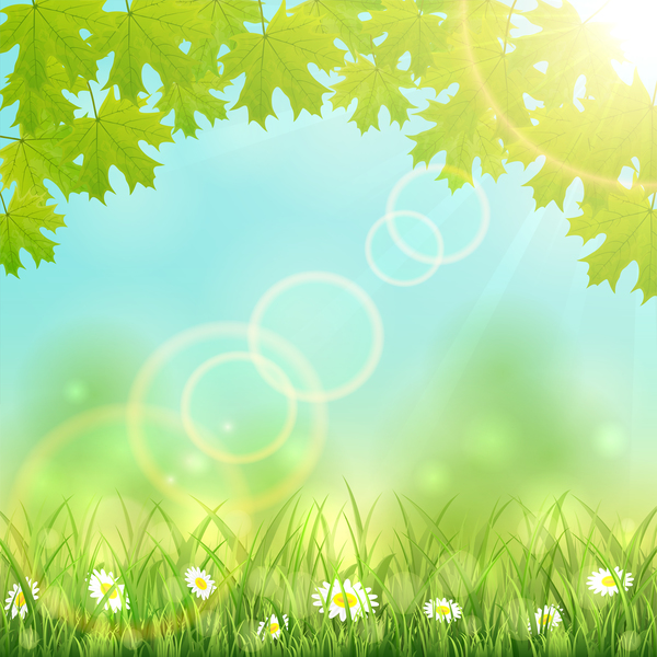 Nature background with leaves vector