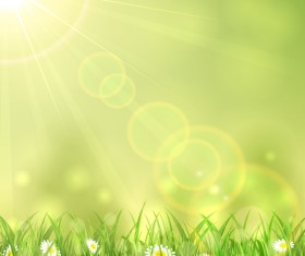 Nature background with white flower and grass vector