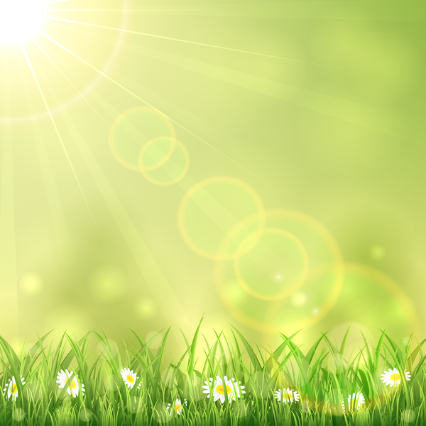 Nature background with white flower and grass vector