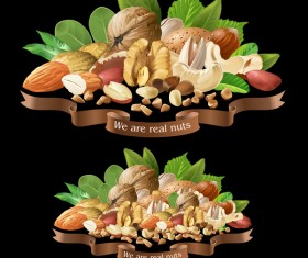 Nuts labels vector 01