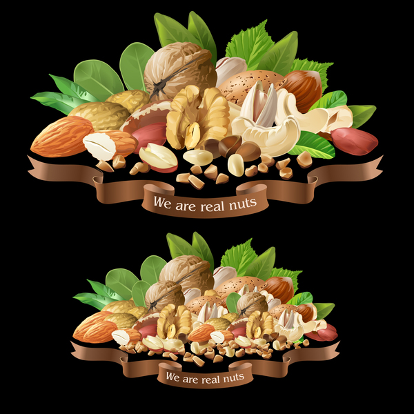 Nuts labels vector 01