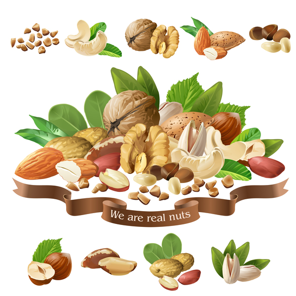 Nuts labels vector 02