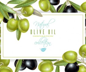 Olives frame vector material