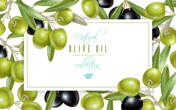 Olives frame vector material