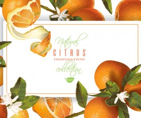 Orange frame vector material