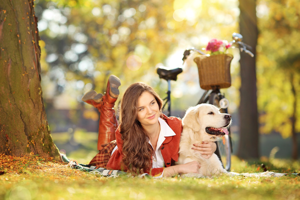 Pet dog with people Stock Photo