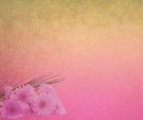 Pink HD elegant background Stock Photo