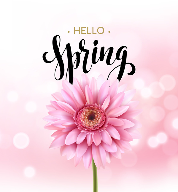 Pink gerbera flower with spring background vector 02