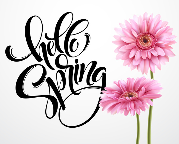 Pink gerbera flower with spring background vector 04