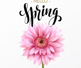 Pink gerbera flower with spring background vector 05