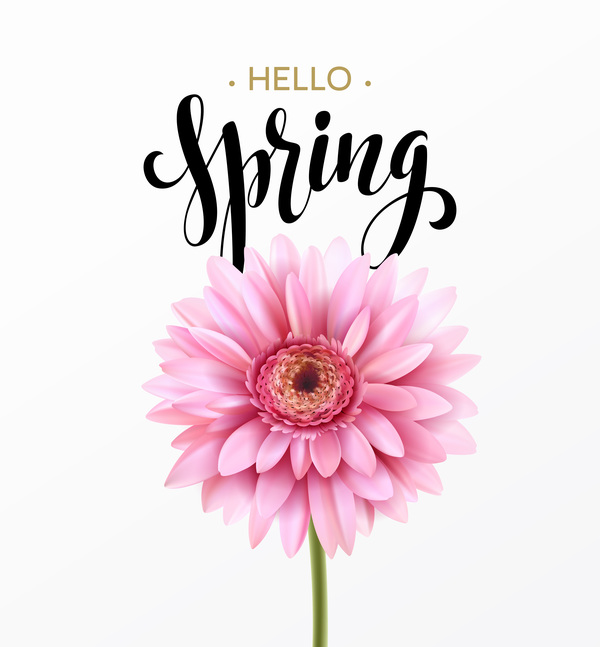 Pink gerbera flower with spring background vector 05
