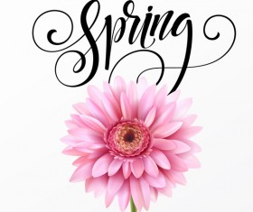 Pink gerbera flower with spring background vector 07