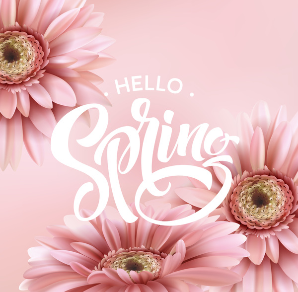 Pink gerbera flower with spring background vector 08