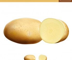 Potapo realistic vectors